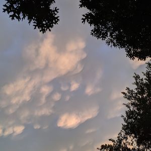 Meet your Posher, Jerrie lynn